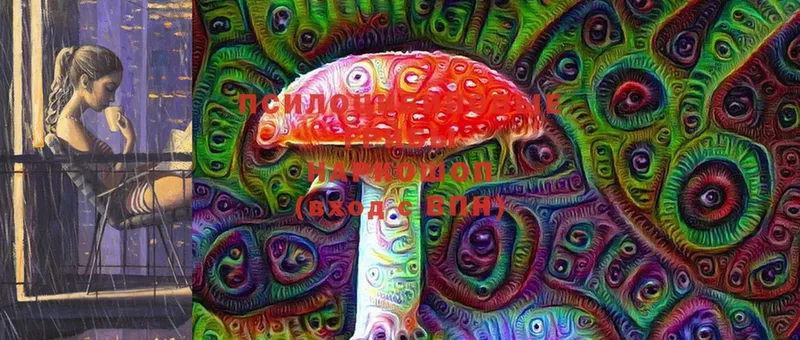 Галлюциногенные грибы Psilocybine cubensis  Рыльск 